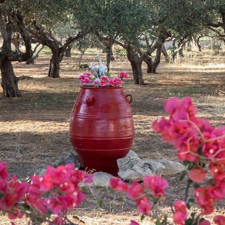 Апартаменты Xirouchakis Farm Киссамос Экстерьер фото