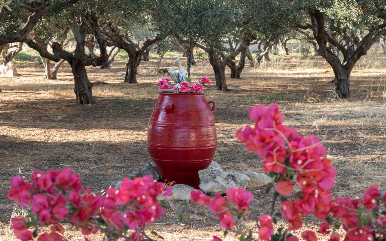 Апартаменты Xirouchakis Farm Киссамос Экстерьер фото